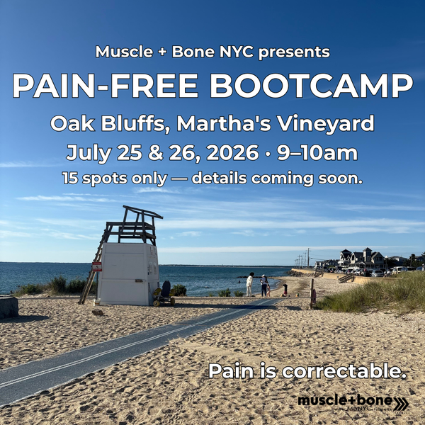 Pain-Free Bootcamp — Oak Bluffs, MV 2026